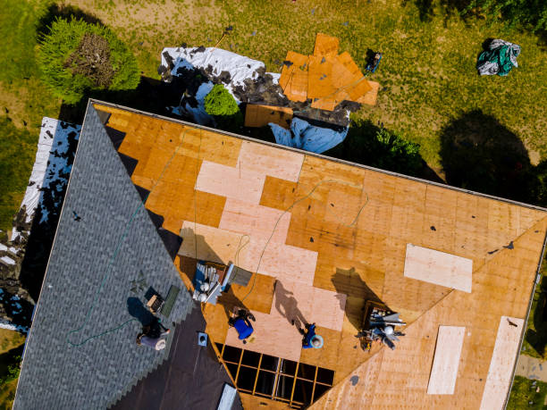 Quick and Trustworthy Emergency Roof Repair Services in Ridgeland, MS